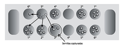 instrucciones mancala